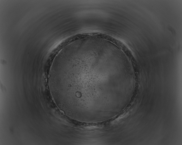 X0000090870871200708031007