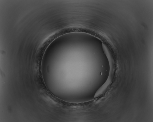 X0000090870872200708031007