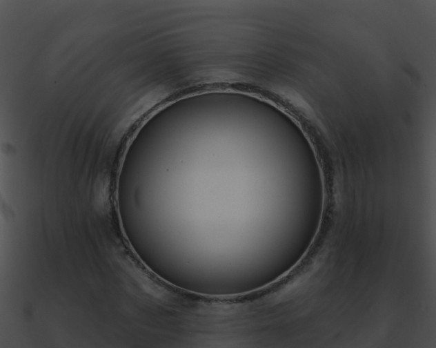 X0000090870873200708031007