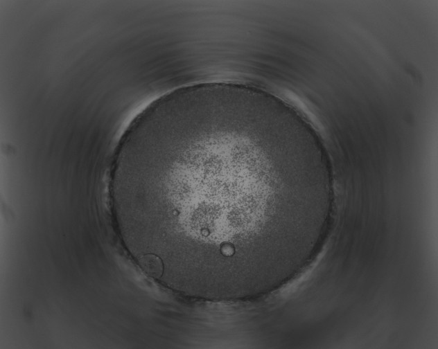 X0000090870875200708031007