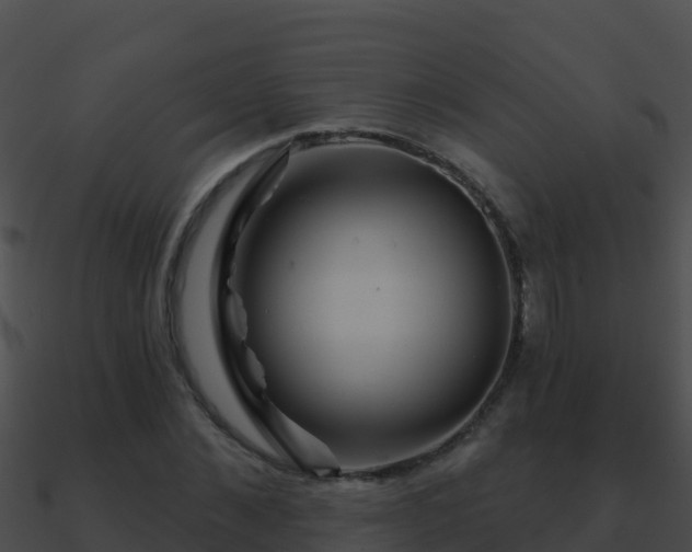 X0000090870876200708031007