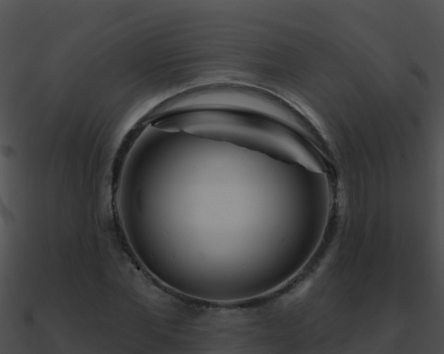 X0000090870877200708031007