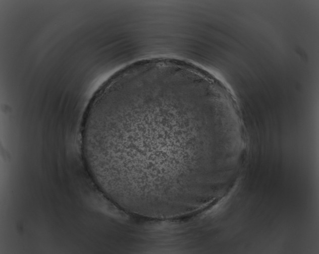 X0000090870879200708031007