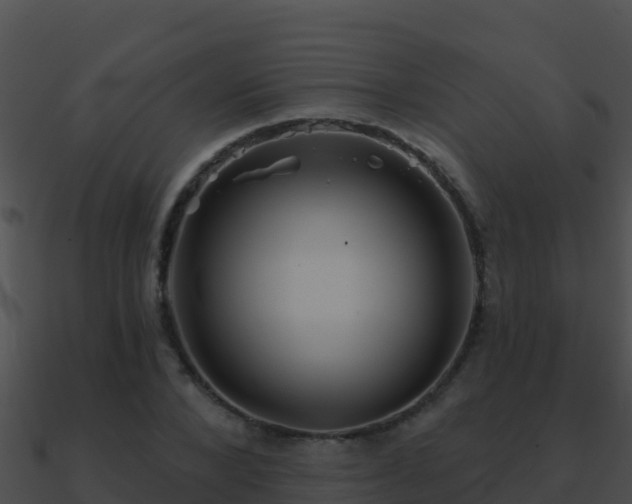 X0000090870880200708031007