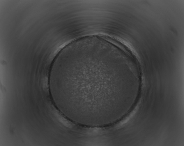 X0000090870881200708031007