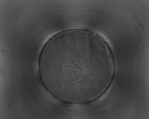 X0000090870883200708031007