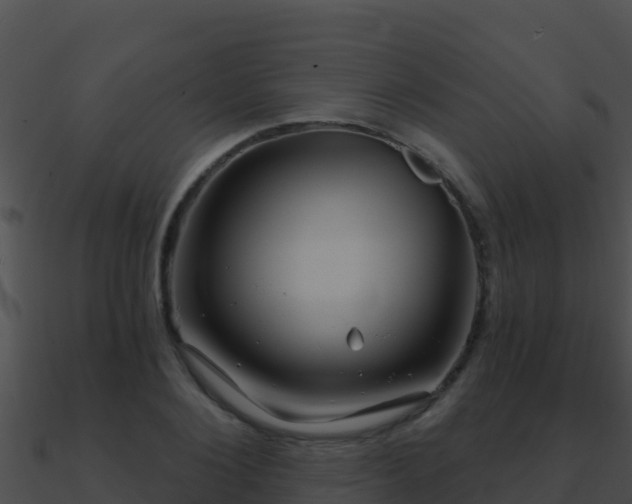 X0000090870884200708031007