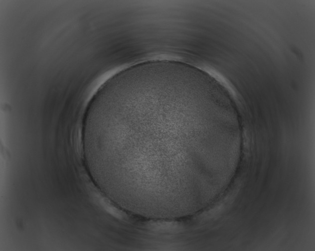 X0000090870886200708031007