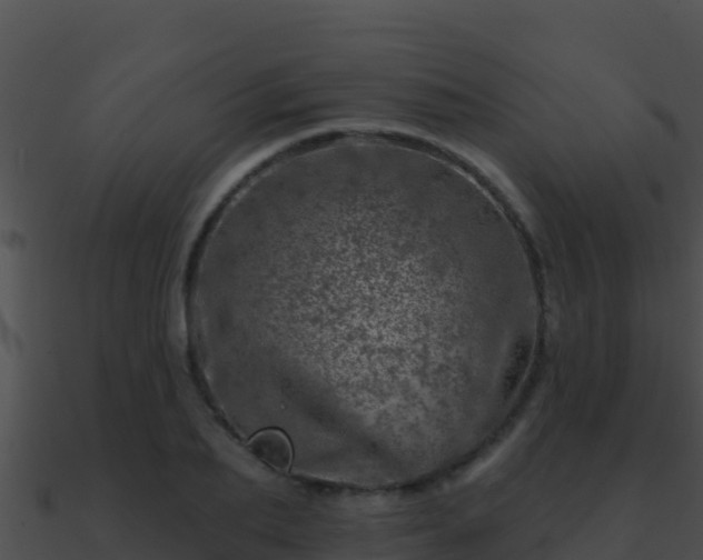 X0000090870887200708031007