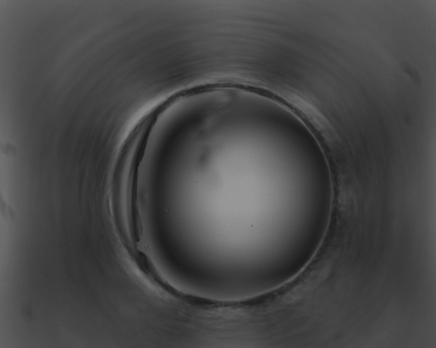 X0000090870888200708031007