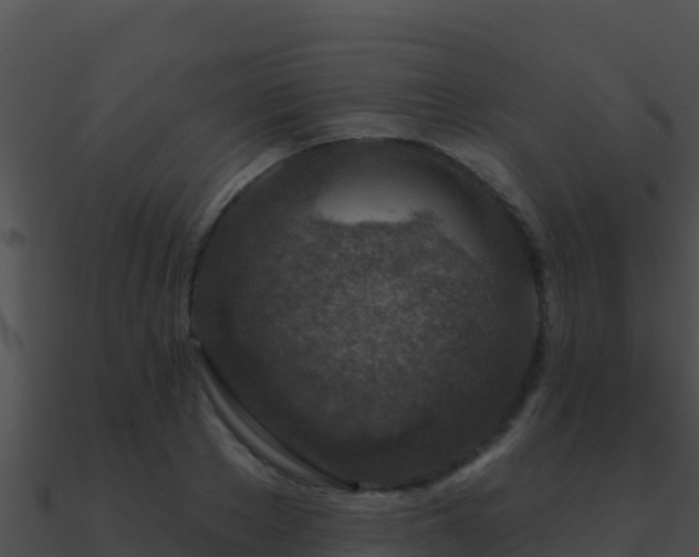 X0000090870889200708031007