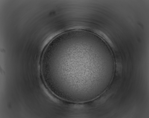 X0000090870890200708031007