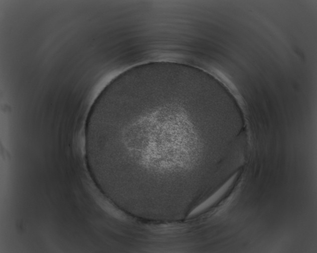 X0000090870891200708031007