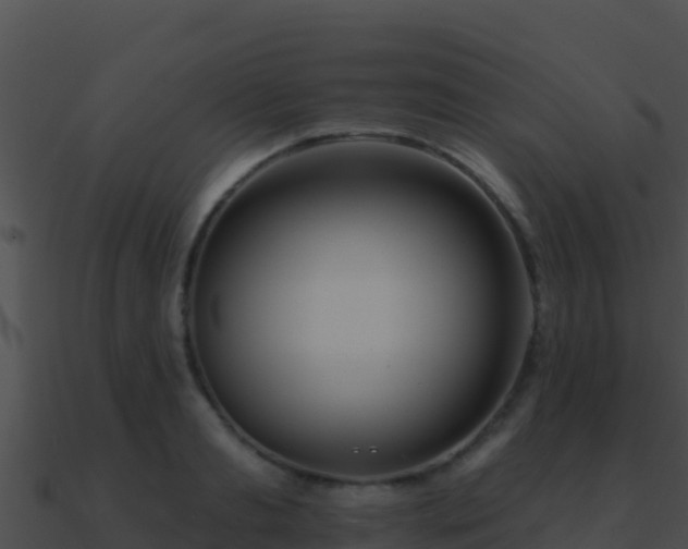 X0000090870893200708031007