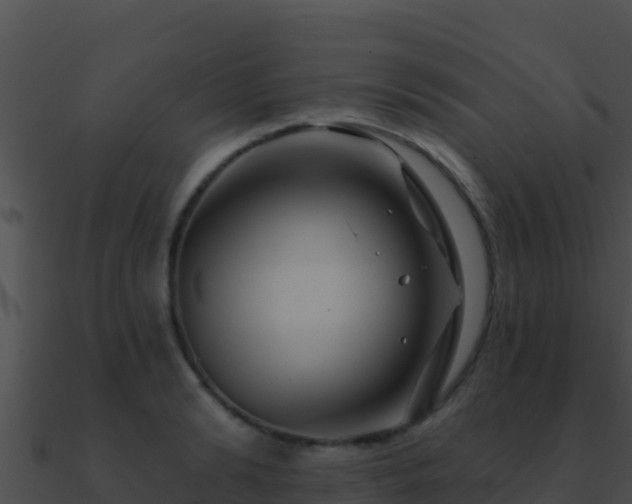 X0000090870894200708031007