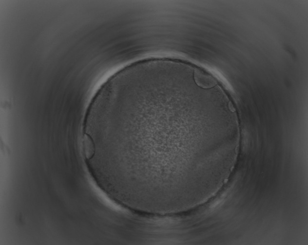 X0000090870895200708031007