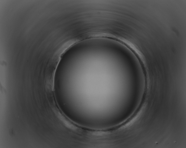 X0000090870897200708031007