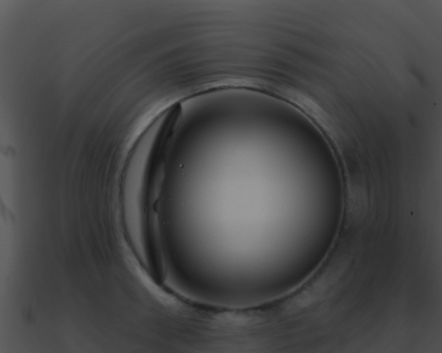 X0000090870898200708031007