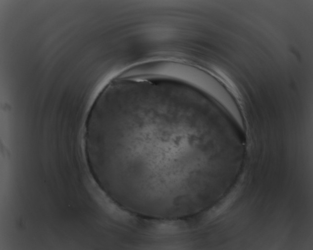 X0000090870899200708031007