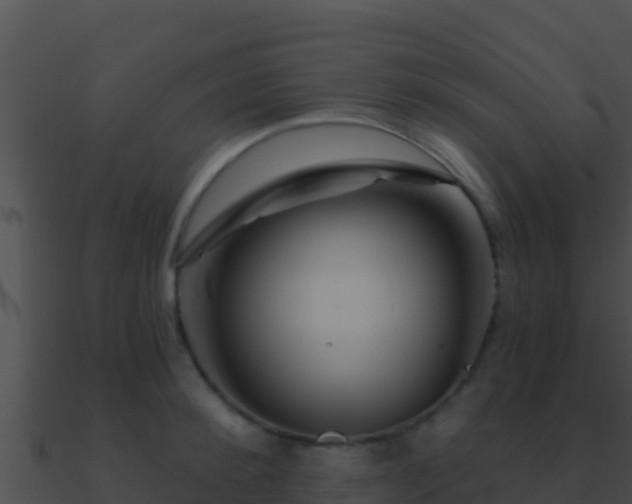 X0000090870900200708031007