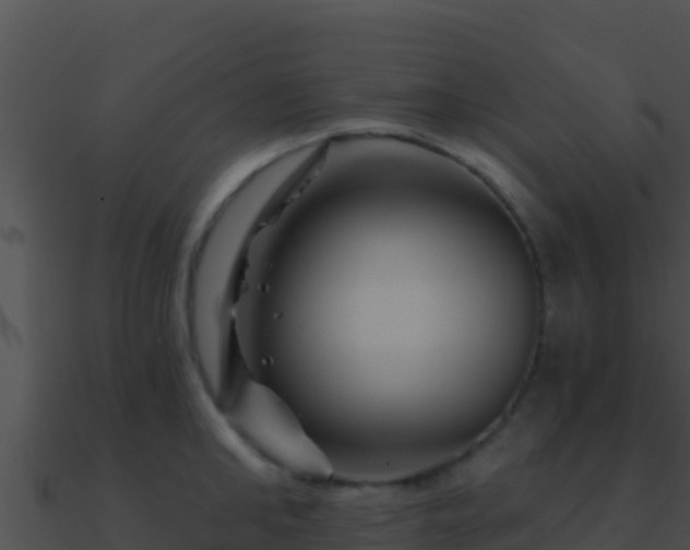 X0000090870902200708031007