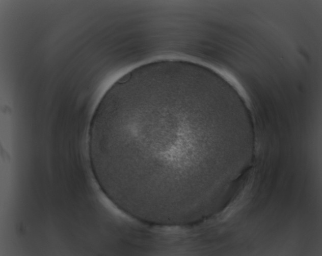 X0000090870903200708031007