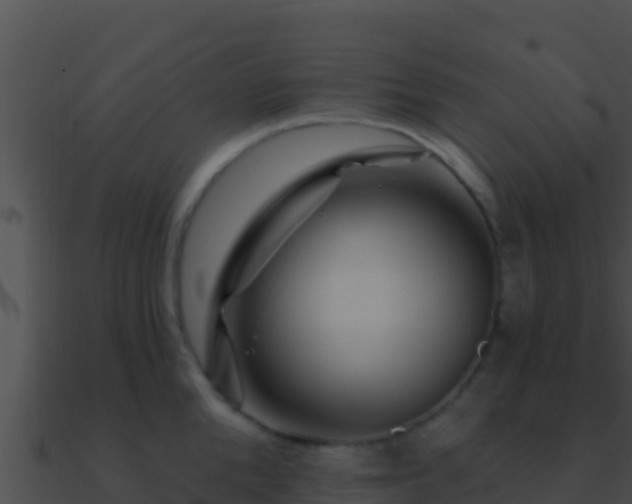 X0000090870904200708031007