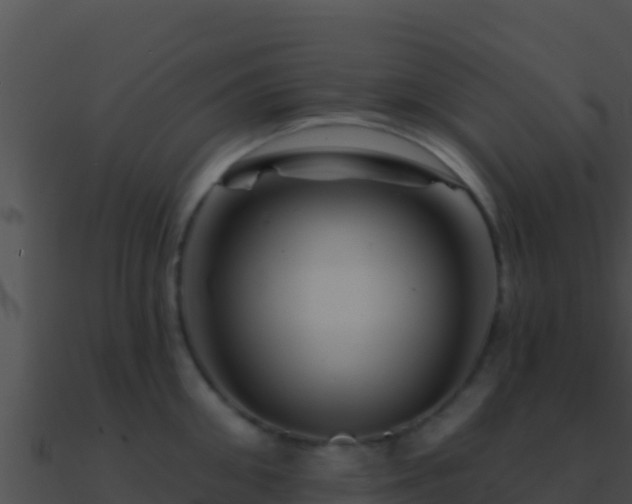 X0000090870906200708031007