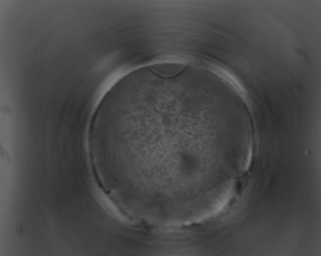 X0000090870907200708031007