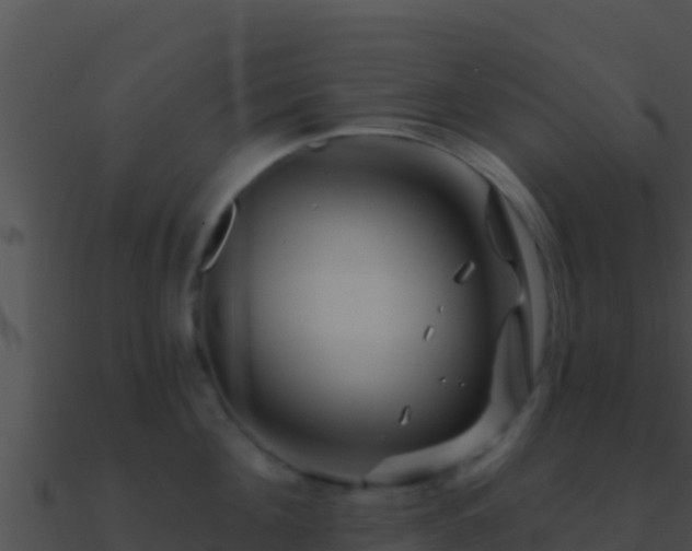 X0000090870908200708031007