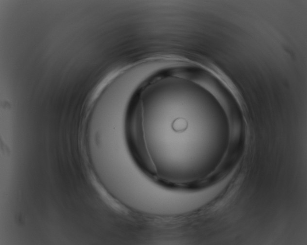 X0000090870909200708031007