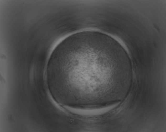 X0000090870911200708031007