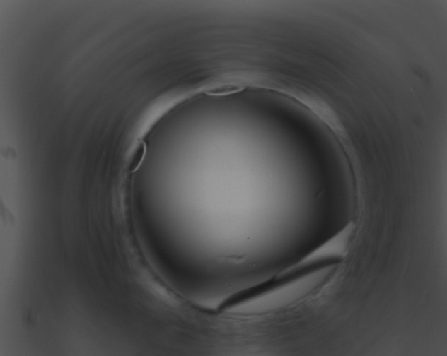 X0000090870912200708031007