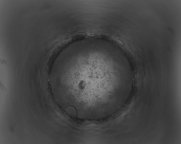 X0000090870913200708031006