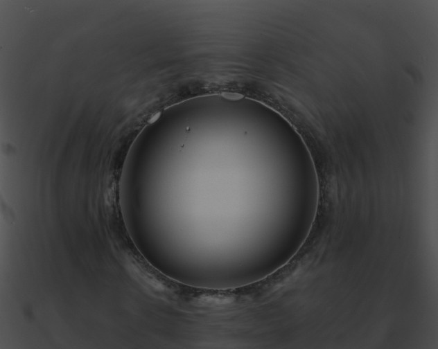 X0000090870914200708031006