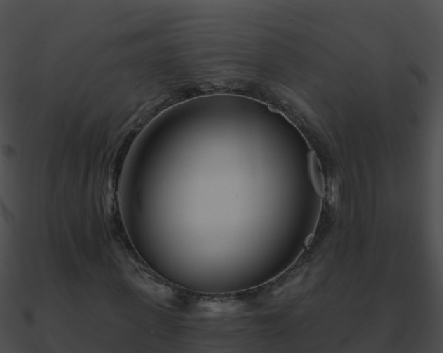 X0000090870915200708031006