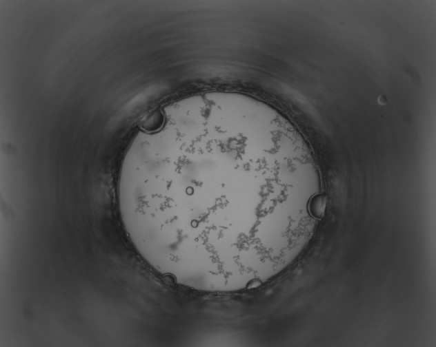 X0000090870918200708031006