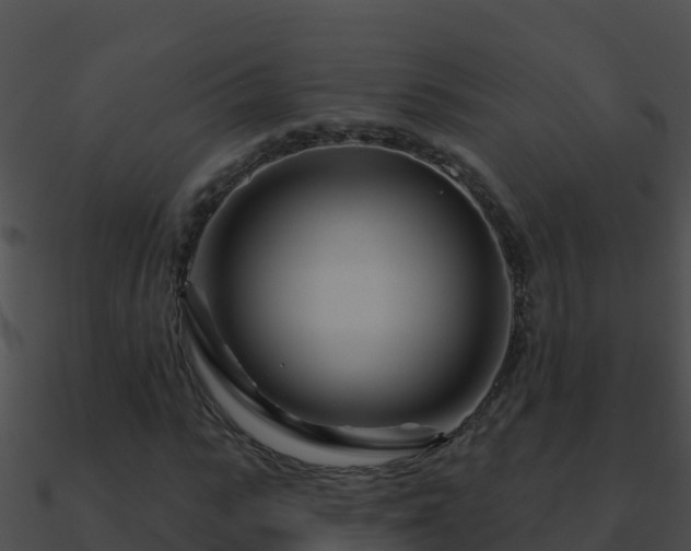 X0000090870919200708031006