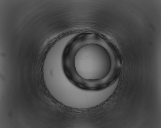 X0000090870920200708031006