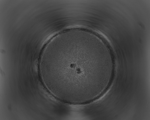 X0000090870921200708031006