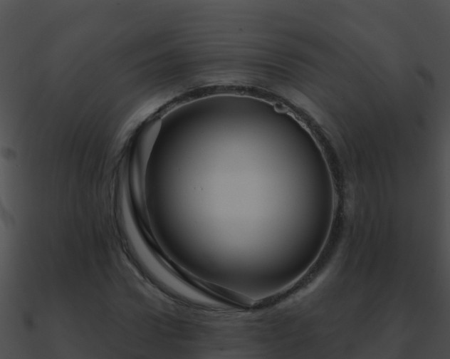 X0000090870922200708031006