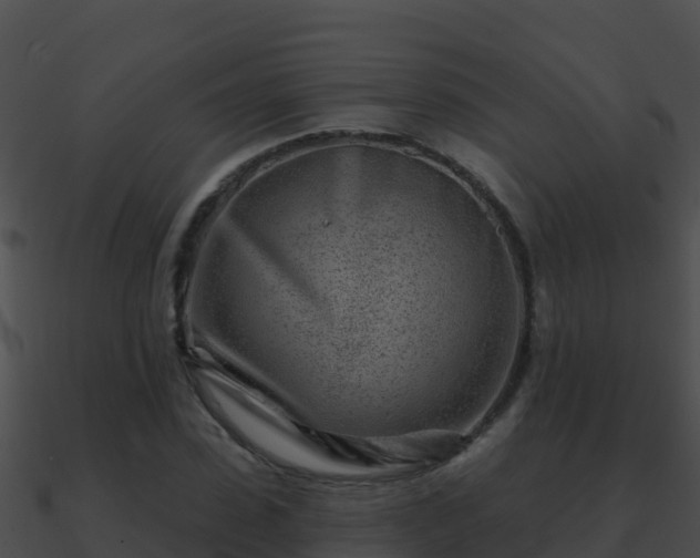 X0000090870923200708031006