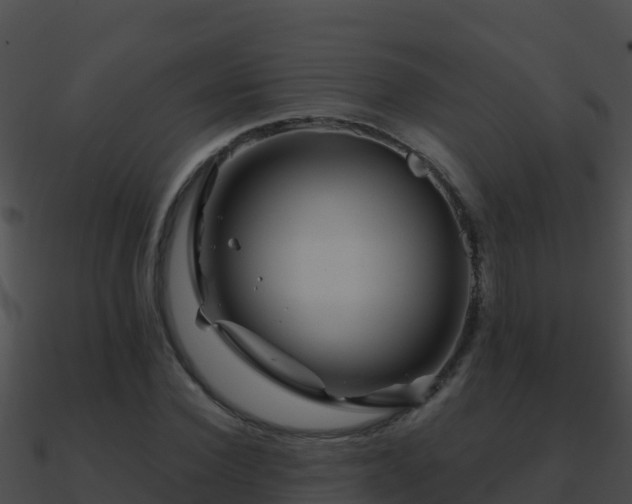 X0000090870924200708031006