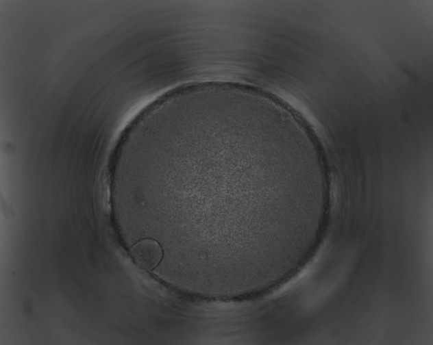 X0000090870925200708031006