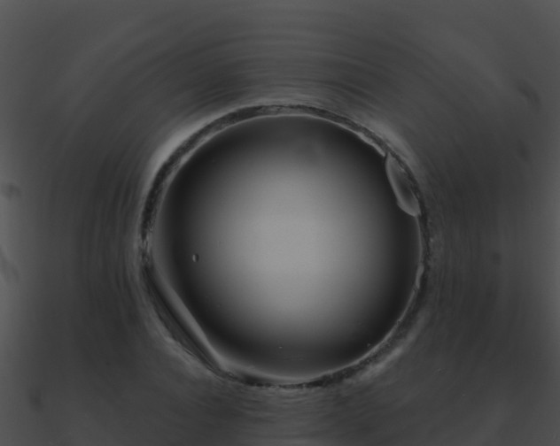 X0000090870928200708031006