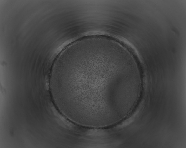 X0000090870929200708031006