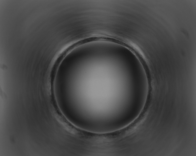 X0000090870931200708031006