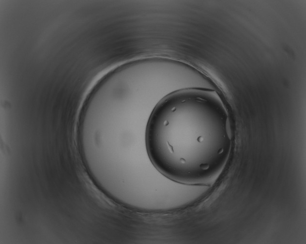 X0000090870932200708031006