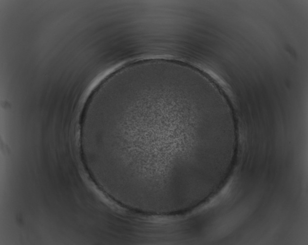 X0000090870933200708031006