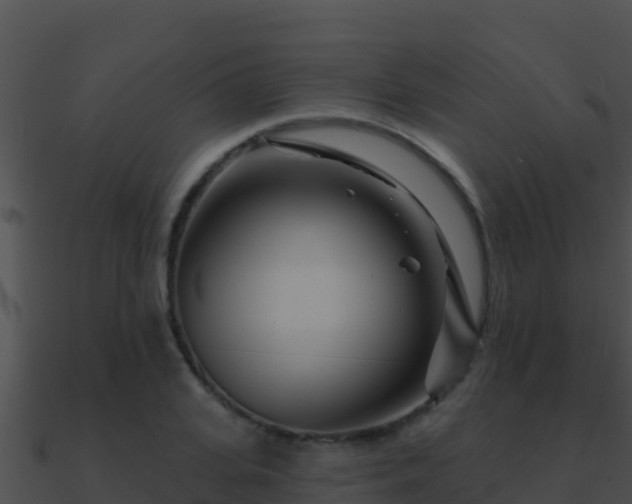 X0000090870935200708031006